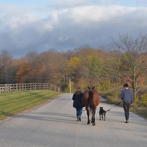 Meet your Posher, Ursula
